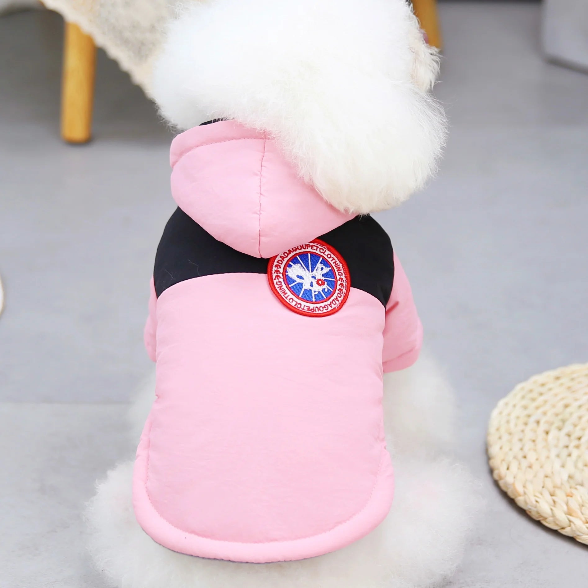 Pet Cats Dog Clothes Winter Warm Down Jacket For Small Dogs Cotton Chihuahua Hooded Clothes Dog Windproof Clothing Coat Apparel