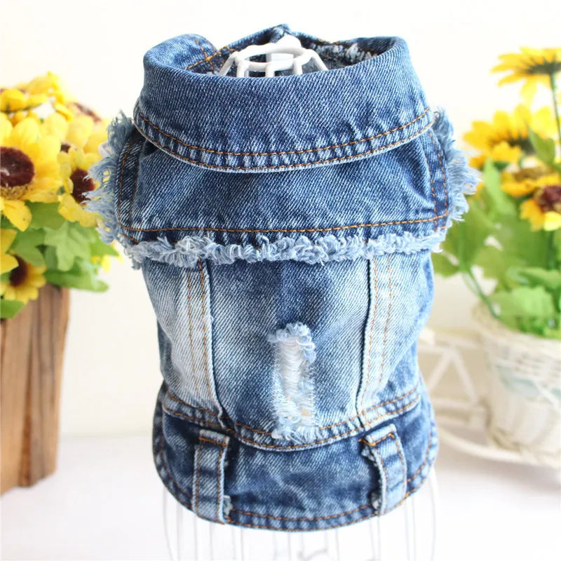 Spring Denim Dog Vest Shih Tzu Clothes for Small Dogs Yorkshire Terrier Puppy Jeans Jacket for Chihuahua Apparel Cat Clothes